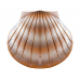 Biodegradable Water Shell Urn. Pearl Companion