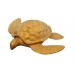 Adult Size Paper Turtle